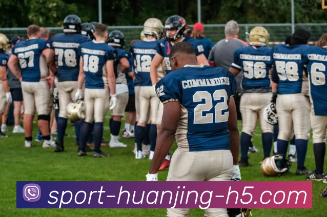 多媒体互动体验