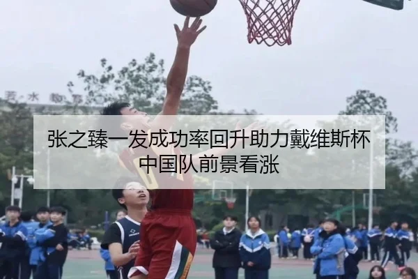 张之臻一发成功率回升助力戴维斯杯 中国队前景看涨